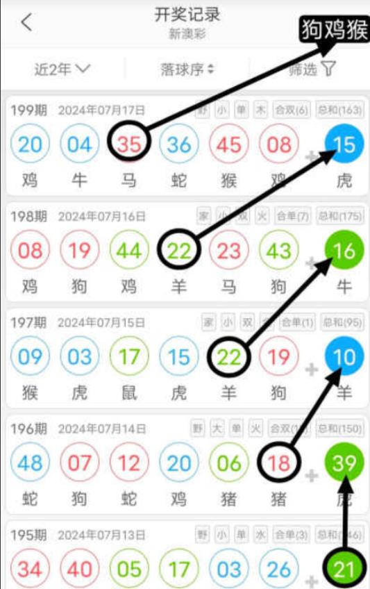 49一肖推荐惠泽高手杀一肖：深度解析及风险提示