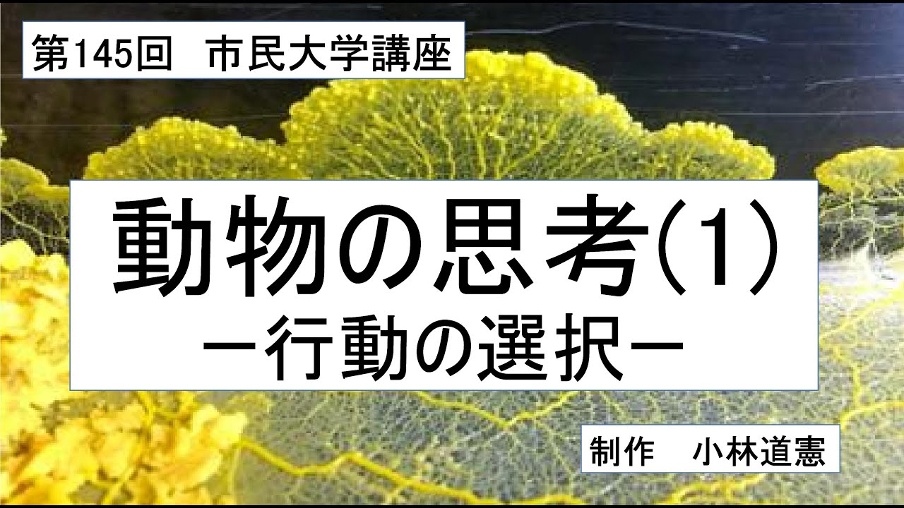 49一肖推荐：一战成名动物预测及风险分析