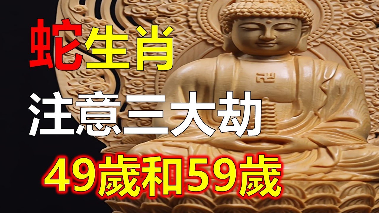 49一肖推荐：佛口蛇心查一肖策略深度解析及风险提示