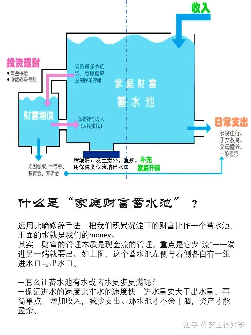 49一肖推荐：未来一周生肖鼠财运详解及避险指南