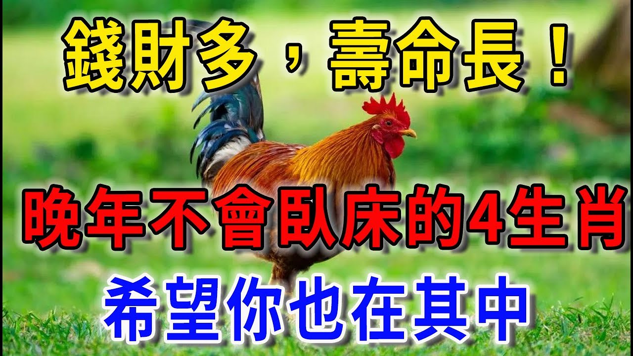 49一肖推荐：靠边睡的动物是哪一生肖？深度解析及预测