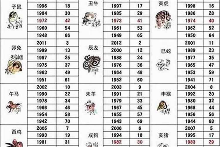 49一肖推荐意打一肖动物深度解析：数字、生肖与动物的巧妙关联