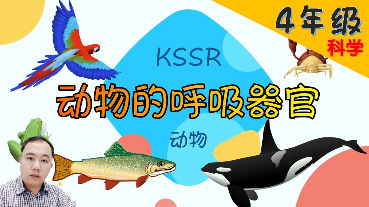 49一肖推荐4尾7尾猜一肖动物深度解析：数字、动物与概率的博弈