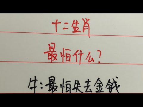 49一肖推荐兵查一肖：深度解析及风险提示