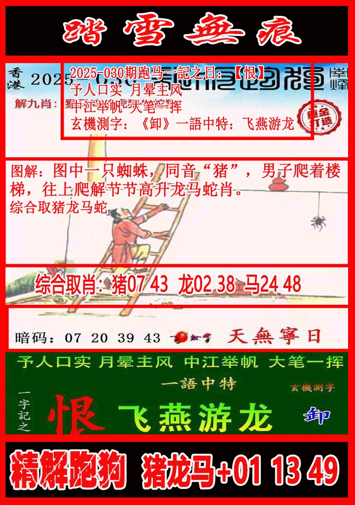 49一肖推荐：强弩之末的最佳选择——深度解析动物生肖与号码的关联性