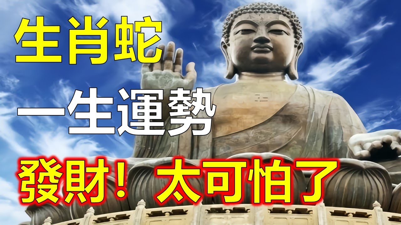 49一肖推荐：野外空地，打一肖动物？深度解析及潜在风险