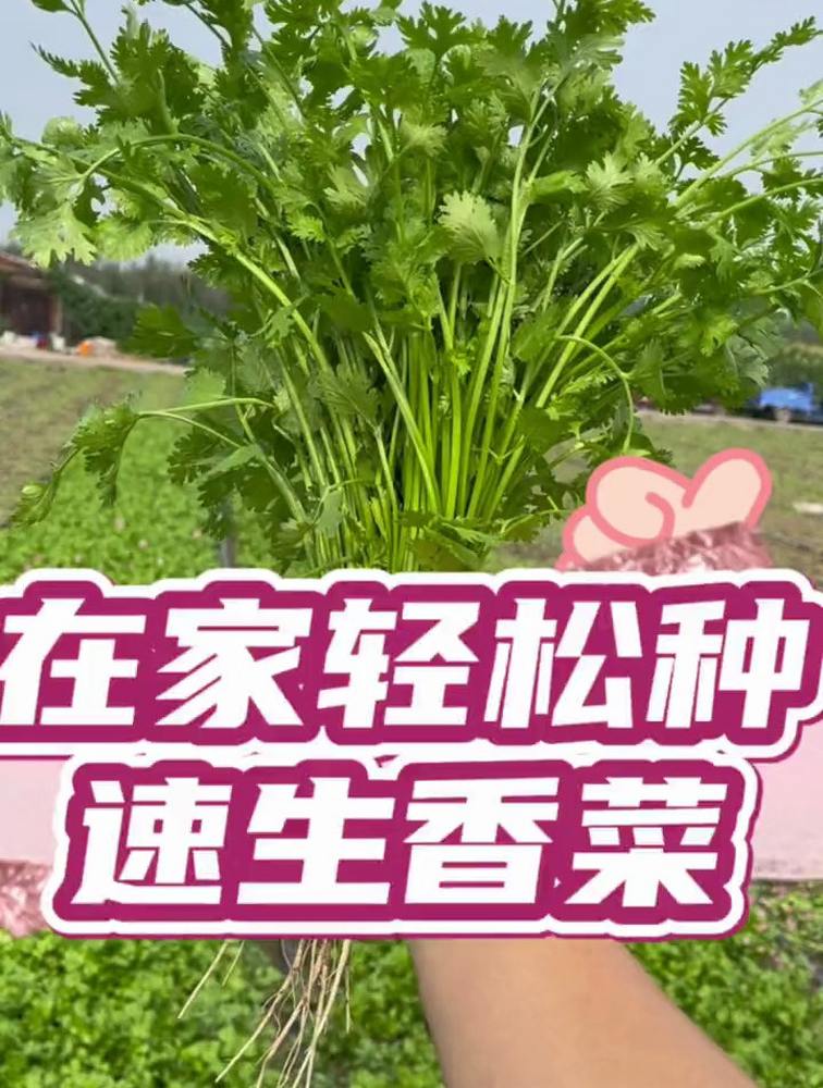 49一肖推荐：大小豆料以天撒打一生肖的策略分析与风险评估