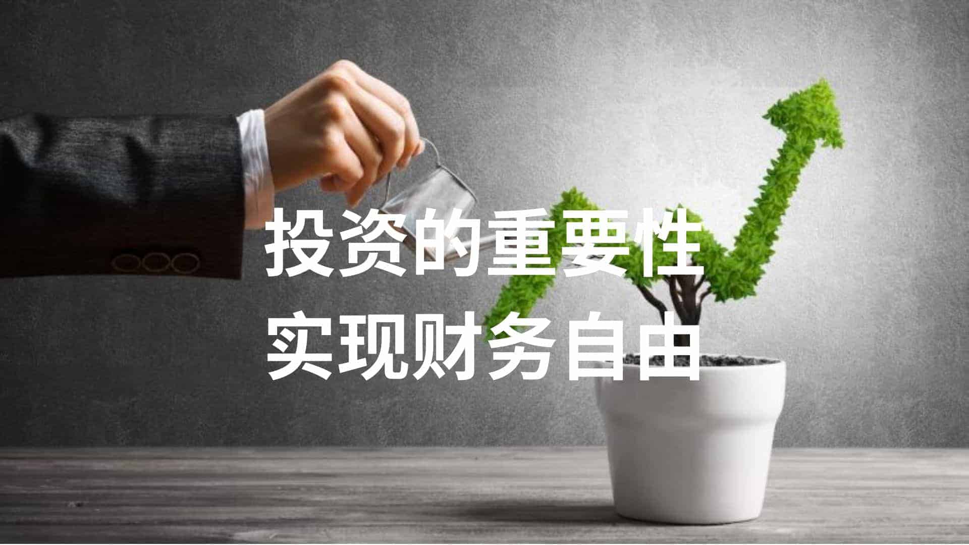 49一肖推荐追杀打一生肖动物求答：深度解析及风险提示