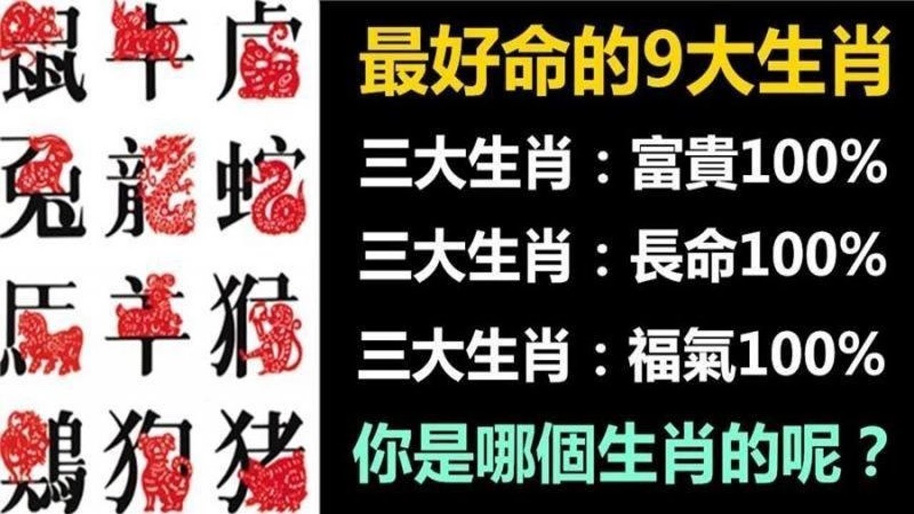 49一肖推荐：千山一叶指引，精准预测生肖动物？深度解析及风险提示