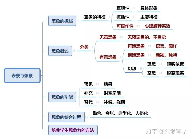 天门外白小姐打一生肖：解谜生肖背后的文化密码