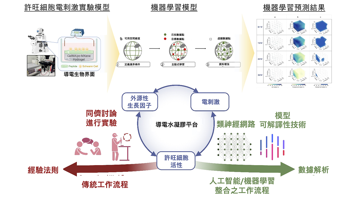 49一肖推荐：弄大斧的动物，深度解析生肖谜题及相关技巧