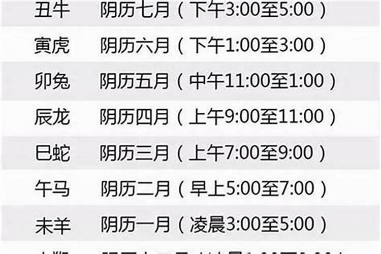 49一肖推荐前呼后拥打一肖动物深度解析：生肖预测与动物习性分析