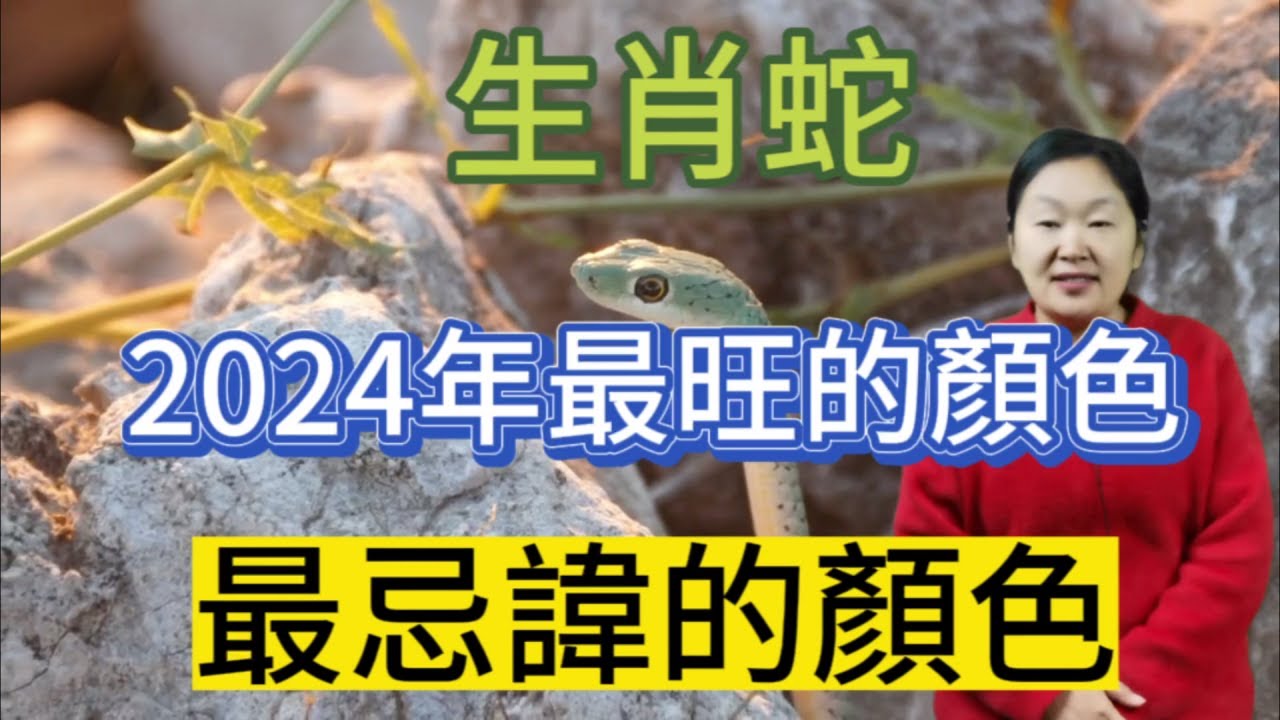 49一肖推荐：洁白的动物暗示哪个生肖？深度解析及预测技巧