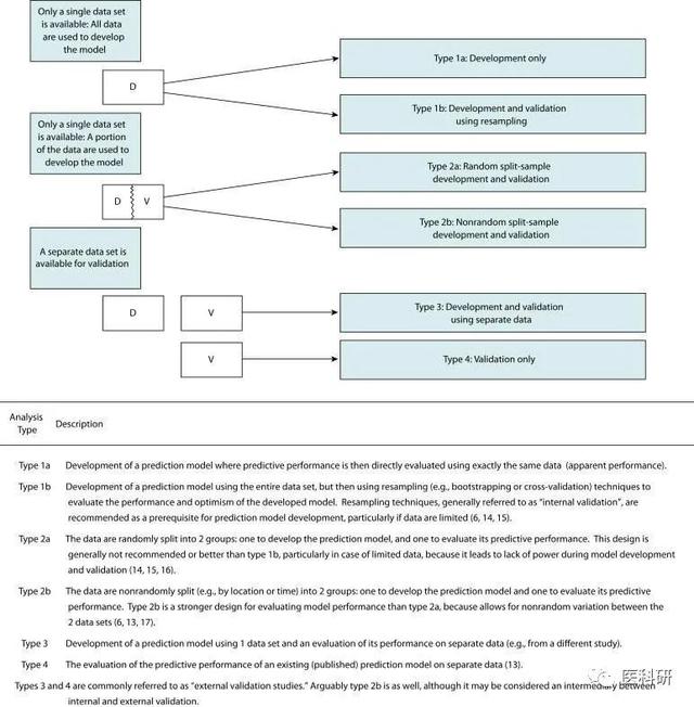 49一肖推荐：目光如炬的动物究竟是谁？深度解析及长尾关键词预测