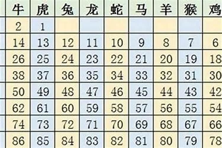 49一肖推荐：红波生肖定本期，精准预测生肖号码的可能性分析