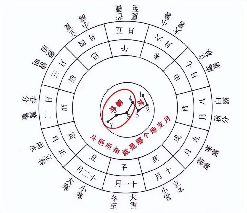 49一肖推荐：探秘最痴情的动物，揭晓神秘生肖